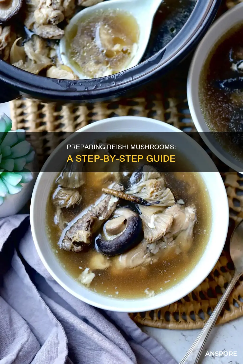 how to prepare reishi mushroom