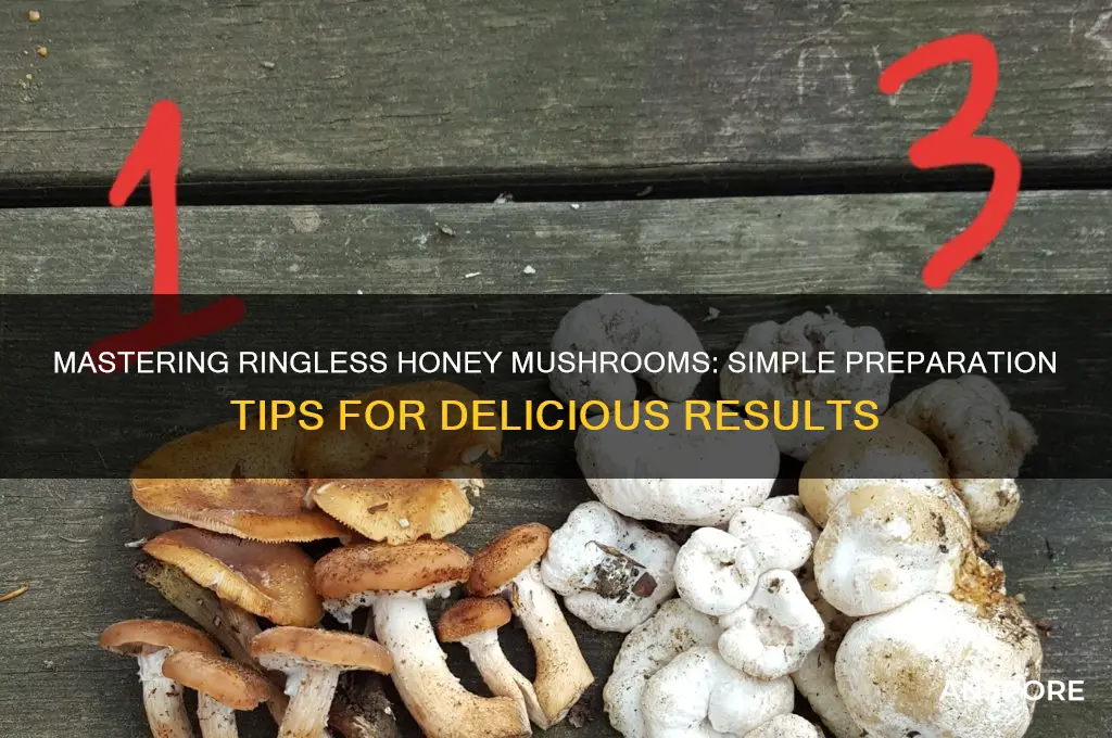 how to prepare ringless honey mushrooms