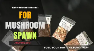 Mastering Rye Berries: A Step-by-Step Guide for Mushroom Spawn Preparation