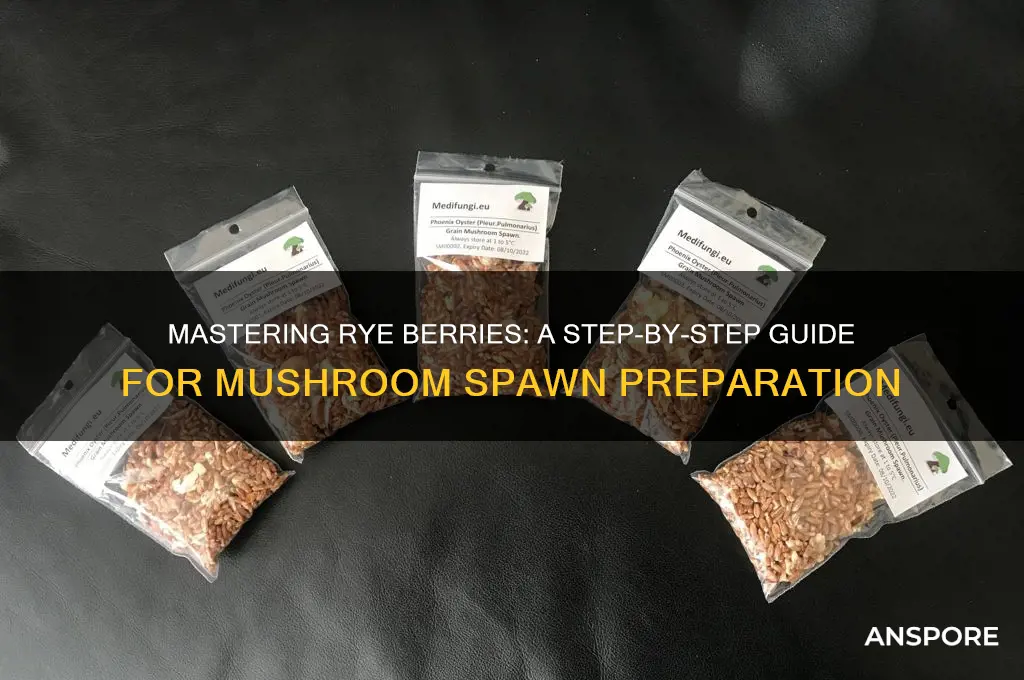 how to prepare rye berries for mushroom spawn
