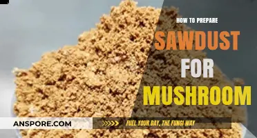 Mastering Sawdust Preparation for Optimal Mushroom Cultivation Techniques