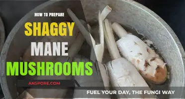 Mastering Shaggy Mane Mushrooms: A Step-by-Step Preparation Guide