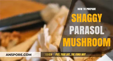 Mastering Shaggy Parasol Mushrooms: A Step-by-Step Preparation Guide