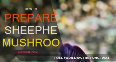 Sheephead Mushrooms: Preparation Techniques for Beginners