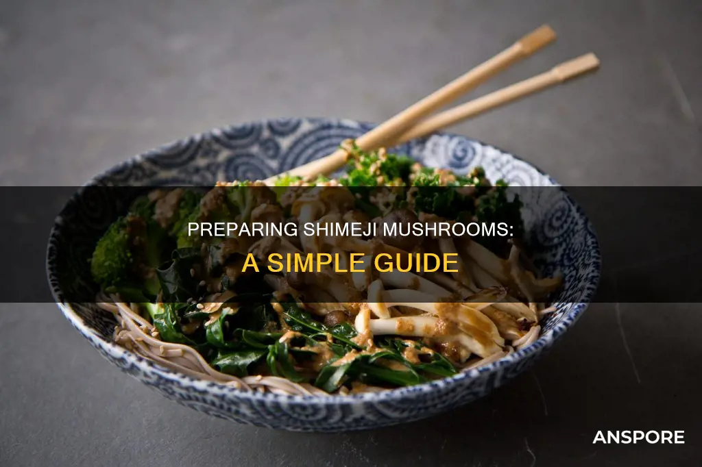 how to prepare shimeji mushrooms