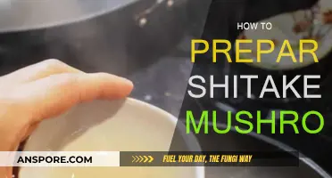 The Ultimate Guide to Cooking Shiitake Mushrooms