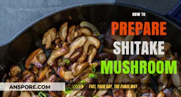 Preparing Shiitake Mushrooms: A Simple Guide