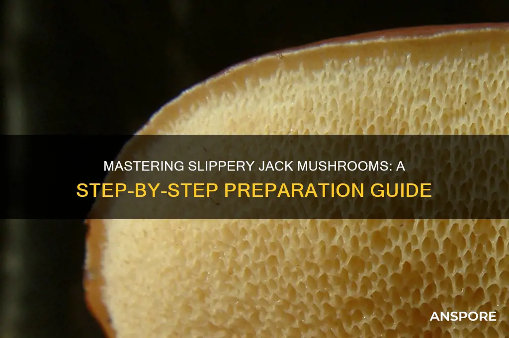 how to prepare slippery jack mushrooms