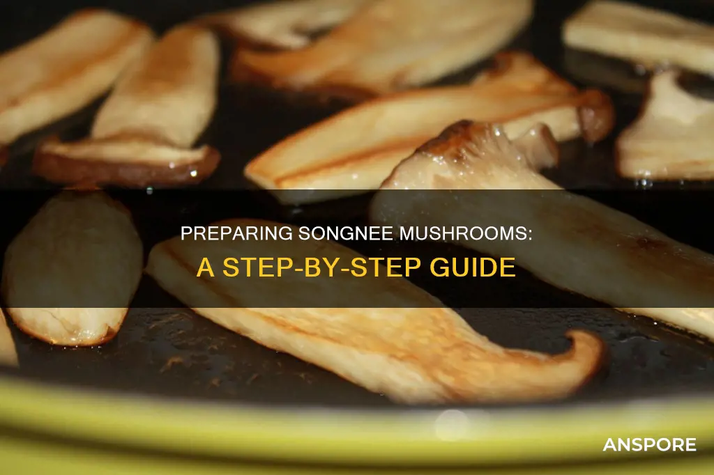 how to prepare songnee mushrooms