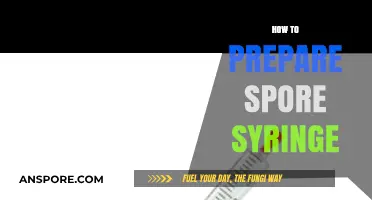 Mastering Spore Syringe Preparation: A Step-by-Step Guide for Beginners