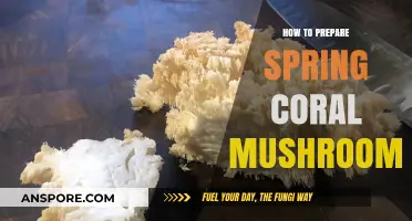 Mastering Spring Coral Mushrooms: A Step-by-Step Preparation Guide