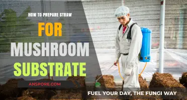 Mastering Mushroom Substrate: A Step-by-Step Guide to Preparing Straw
