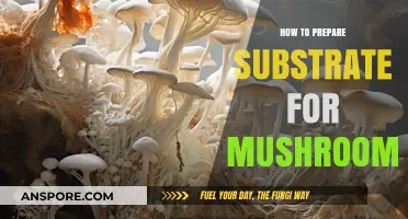 Mastering Mushroom Cultivation: A Guide to Preparing the Perfect Substrate
