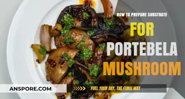 Mastering Substrate Preparation for Growing Portobello Mushrooms at Home