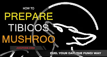 Tibicos Mushroom: Prepare a Healthy Probiotic Drink at Home