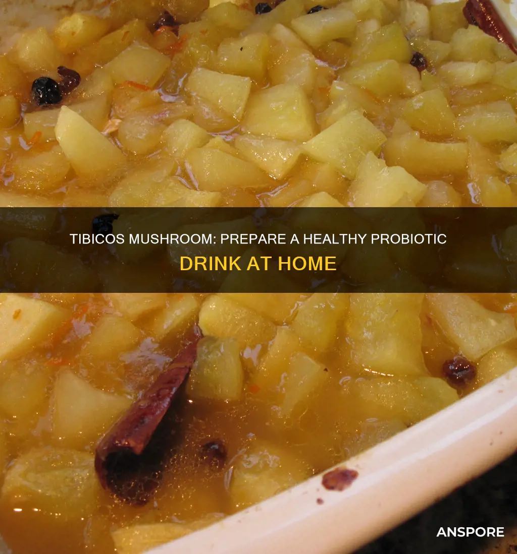 how to prepare tibicos mushroom