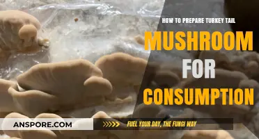 Preparing Turkey Tail Mushroom: A Step-by-Step Guide for Consumption