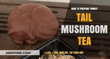 Brewing Turkey Tail Mushroom Tea: A Simple Guide to Preparation