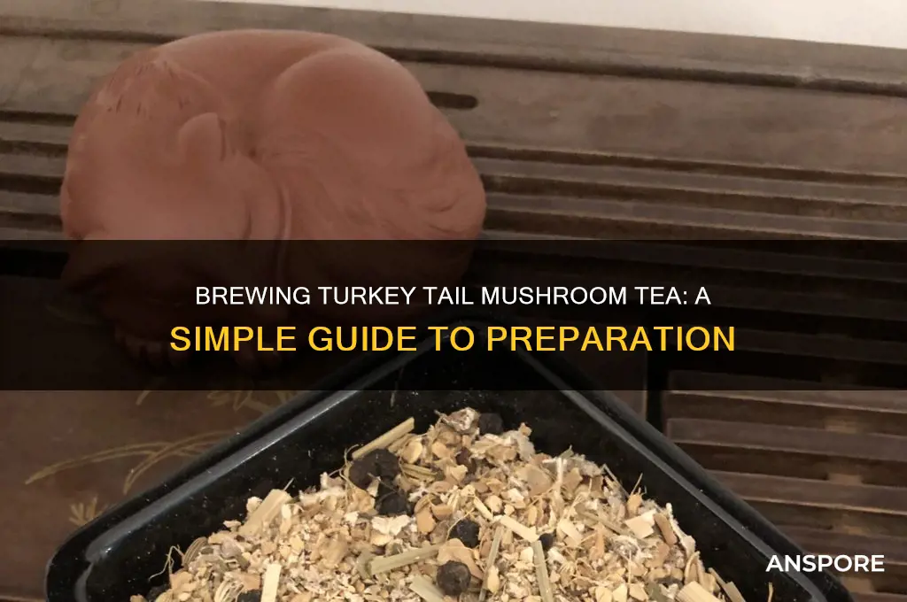 how to prepare turkey tail mushroom tea