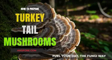 Mastering Turkey Tail Mushrooms: A Step-by-Step Preparation Guide