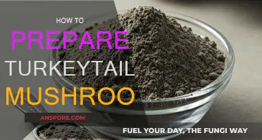 Preparing Turkey Tail Mushrooms: A Step-by-Step Guide