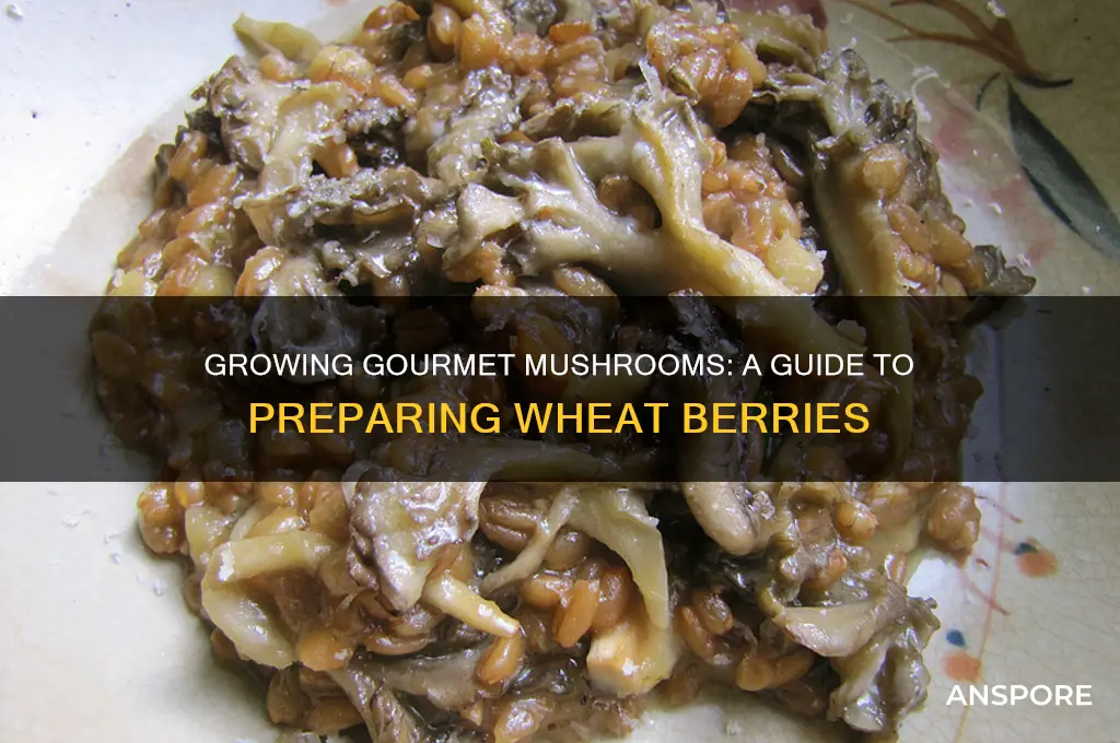 how to prepare wheat berries for mushrooms