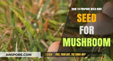 Growing Mushrooms with Wild Bird Seed: A Step-by-Step Preparation Guide