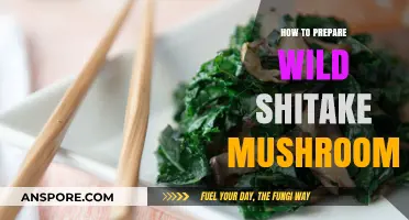 Mastering Wild Shiitake Mushrooms: A Step-by-Step Preparation Guide