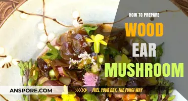 Mastering Wood Ear Mushrooms: Simple Preparation Tips for Perfect Texture