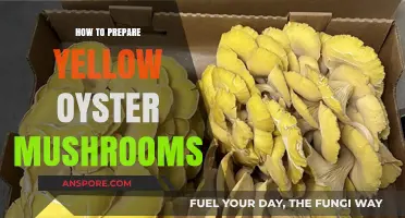 Mastering Yellow Oyster Mushrooms: Simple Preparation Tips for Delicious Results
