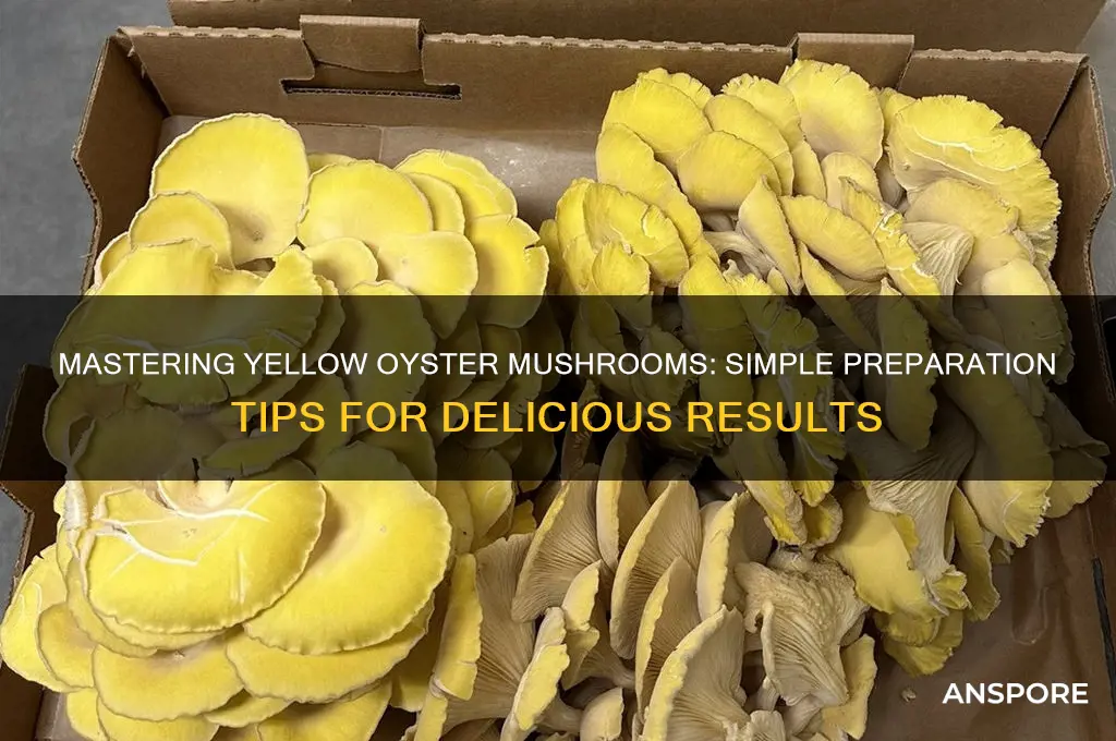 how to prepare yellow oyster mushrooms