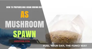 Cultivating Mushrooms: Preparing Long Grain Brown Rice as Spawn