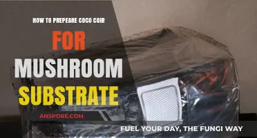 Mastering Coco Coir Preparation for Optimal Mushroom Substrate Growth