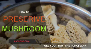 Mushrooms: Best Preservation Methods and Practices