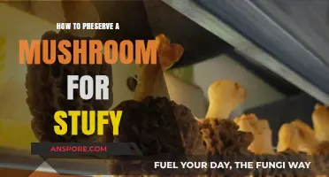 Effective Mushroom Preservation Techniques for Long-Lasting Study Specimens