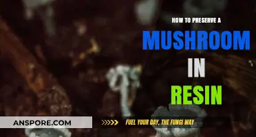 Preserving Mushrooms in Resin: A Step-by-Step Crafting Guide