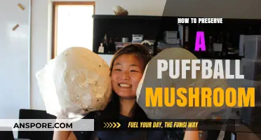 Preserving Puffball Mushrooms: A Step-by-Step Guide for Longevity