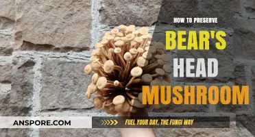 Preserving Bear's Head Mushrooms: Tips for Long-Lasting Freshness and Flavor