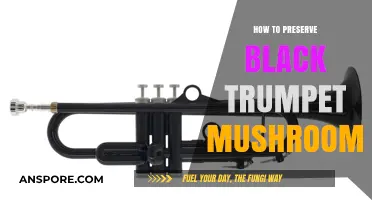 Preserving Black Trumpet Mushrooms: Easy Methods for Long-Lasting Flavor