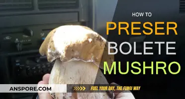Preserving Bolete Mushrooms: Techniques for Longevity