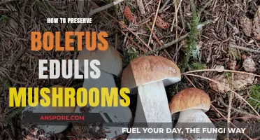 Preserving Boletus Edulis: Expert Tips for Long-Lasting Mushroom Storage