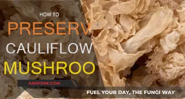 Cauliflower Mushroom: Preserving the Delicate Harvest