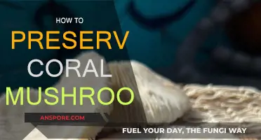 Preserving Coral Mushrooms: Techniques for Longevity