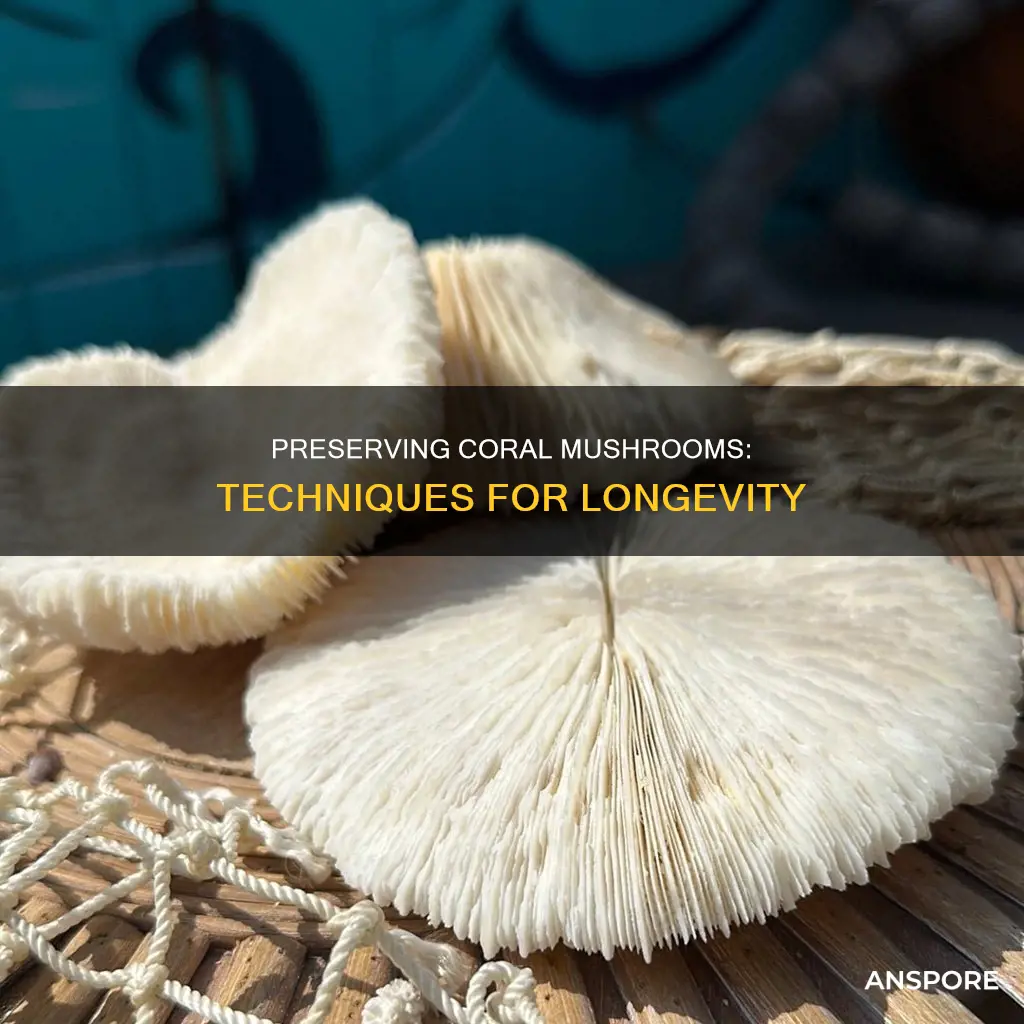 how to preserve coral mushrooms
