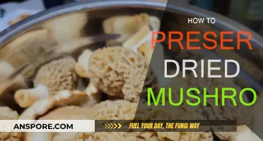 Preserving Dried Mushrooms: Best Storage Methods