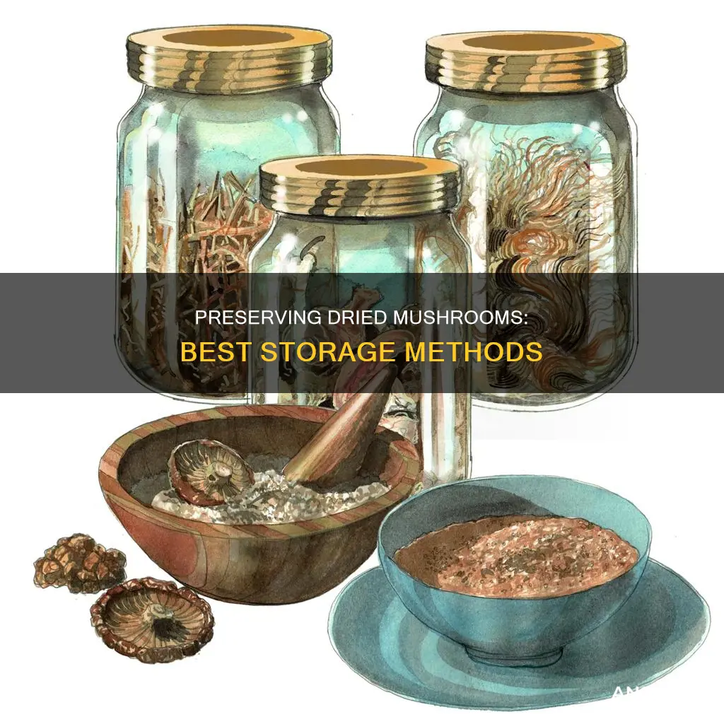 how to preserve dried mushrooms