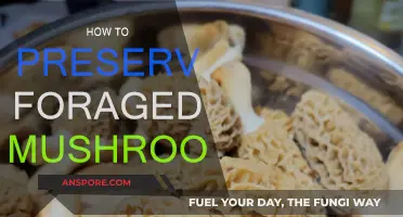 Preserving Foraged Mushrooms: Techniques for Longevity