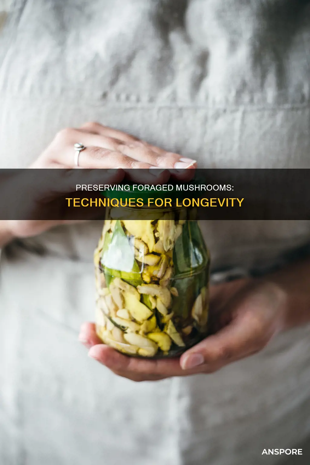 how to preserve foraged mushrooms