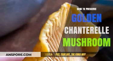Preserving Golden Chanterelles: Tips for Long-Lasting Flavor and Freshness