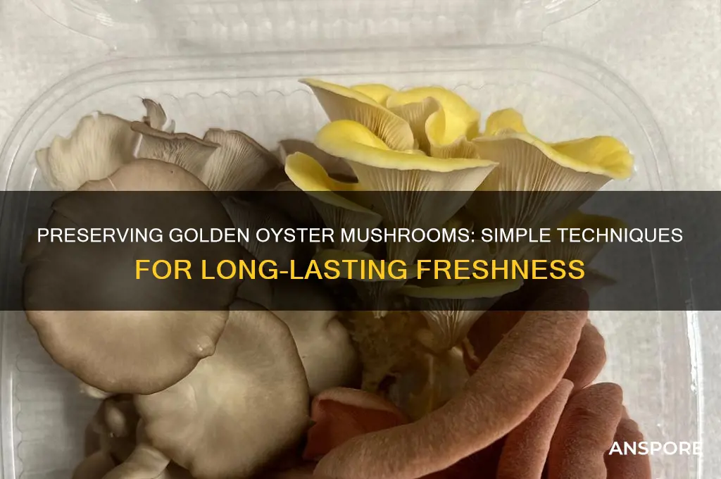 how to preserve golden oyster mushrooms